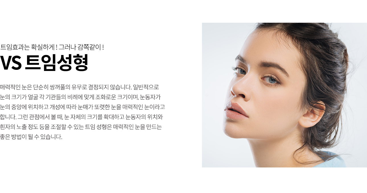 매력적인 눈은 단순히 쌍꺼풀의 유무로 결정되지 않습니다. 일반적으로 눈의 크기가 얼굴 각 기관들의 비례에 맞게 조화로운 크기이며, 눈동자가 눈의 중앙에 위치하고 개성에 따라 눈매가 또렷한 눈을 매력적인 눈이라고 합니다. 그런 관점에서 볼 때, 눈 자체의 크기를 확대하고 눈동자의 위치와 흰자의 노출 정도 등을 조절할 수 있는 트임 성형은 매력적인 눈을 만드는 좋은 방법이 될 수 있습니다.