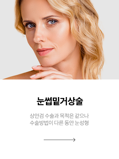 눈썹밑거상술